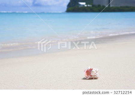 在海灘的貝殼 在海灘的貝殼 32712254