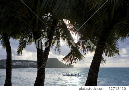 棕櫚樹和海洋 32712410