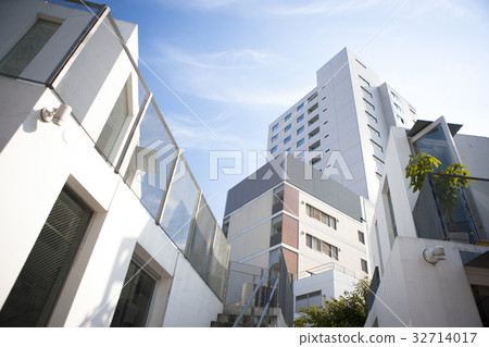 Shop of Daikanyama 32714017