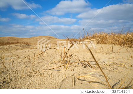 Taean Sinduri Coast Dune, Taean-gun, Chungnam, Korea 32714194