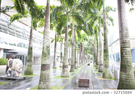 濱海灣金沙前的棕櫚樹 濱海灣金沙前的棕櫚樹 32715084