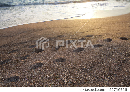 落日照亮的沙灘 32716726