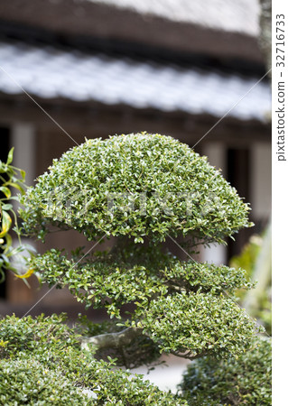Japanese style image Japanese style image 32716733