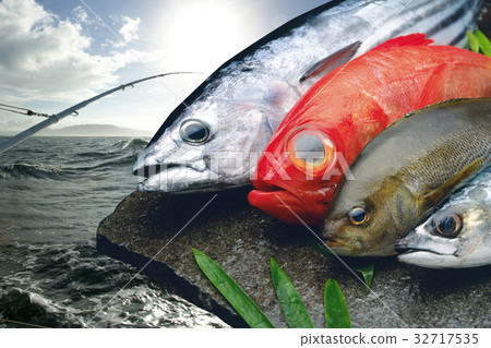 Fresh fish 32717535