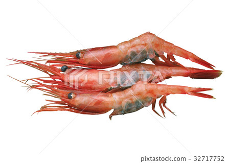 Button shrimp Button shrimp 32717752
