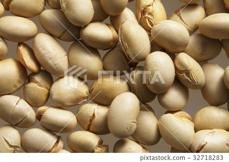 Bean-maki beans 32718283