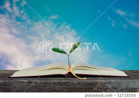 Open book with growing tree with blurry blue sky. Open book with growing tree with blurry blue sky. 32718588