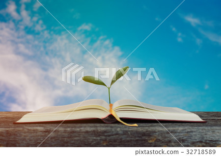 Open book with growing tree with blurry blue sky. Open book with growing tree with blurry blue sky. 32718589