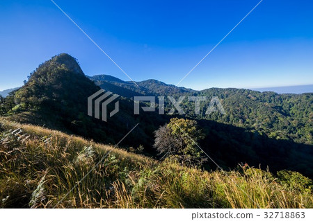 Spectacular jungle landscape with mountain range 32718863