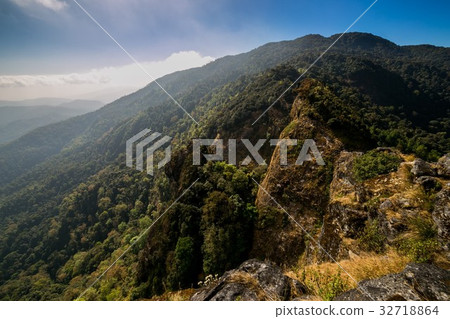 Spectacular jungle landscape with mountain range 32718864