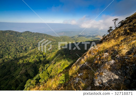 Spectacular jungle landscape with mountain range 32718871