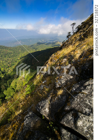 Spectacular jungle landscape with mountain range 32718872