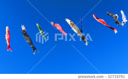 Kawaguchi Shibakawa Carp streamer Festival 2017 carp streamer Kawaguchi Shibakawa Carp streamer Festival 2017 carp streamer 32719791