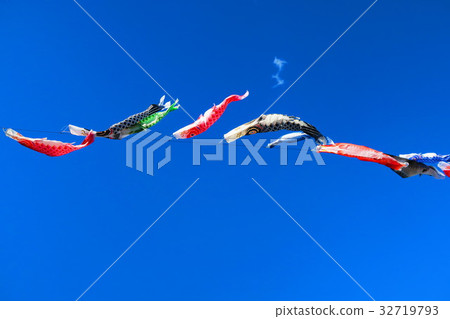 Kawaguchi Shibakawa Carp streamer Festival 2017 carp streamer Kawaguchi Shibakawa Carp streamer Festival 2017 carp streamer 32719793