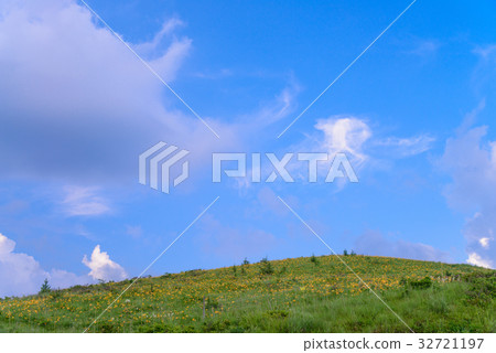 Nikkowige blooms, Kirigamine in the summer 32721197