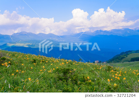 Nikkowige blooms, Kirigamine in the summer Nikkowige blooms, Kirigamine in the summer 32721204