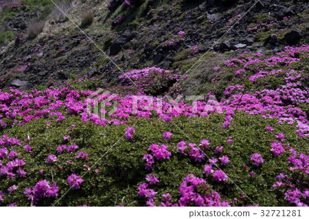 Kuju Miyama Kirishima 32721281