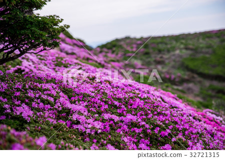 Kuju Miyama Kirishima Kuju Miyama Kirishima 32721315