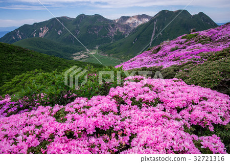 Kuju Miyama Kirishima 32721316