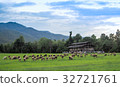 Sheep farm in the meadow. 32721761
