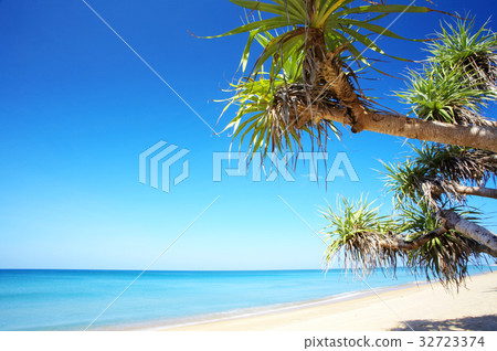 mangrove bay 32723374