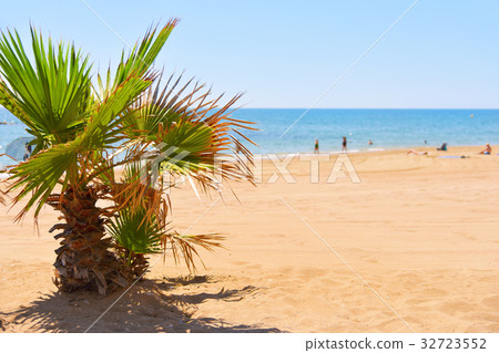 a calm beach in the mediterranean sea 32723552