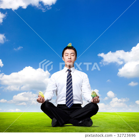 Businessman Businessman 32723696