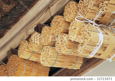 Bee Bee's Nest 32723871