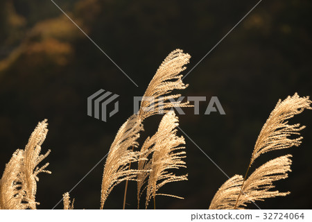 Fall landscape 32724064