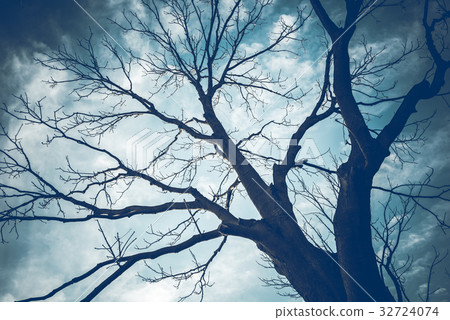 Fall landscape 32724074