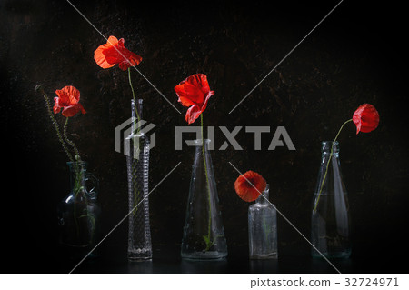 Red poppy flowers Red poppy flowers 32724971