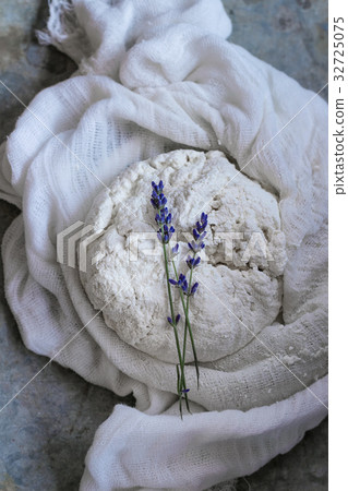 Fresh homemade cottage cheese Fresh homemade cottage cheese 32725075