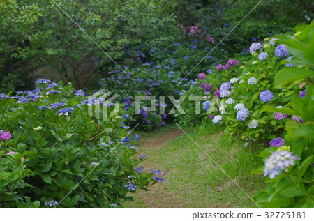 能美黃金公園 32725181