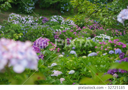 能美黃金公園 32725185