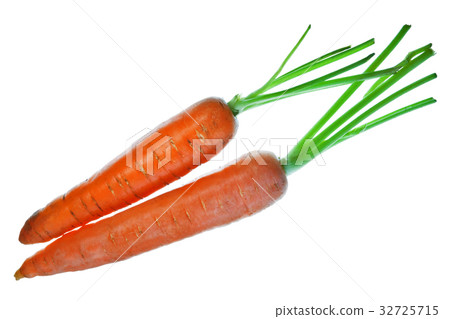 Carrots Carrots 32725715