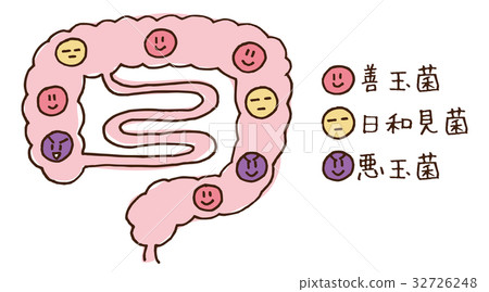 Illustration of enterobacteria 32726248