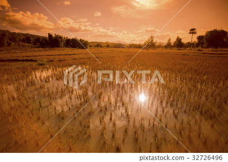 LAO PHONSAVAN LANDSCAPE AGRICULTURE 32726496