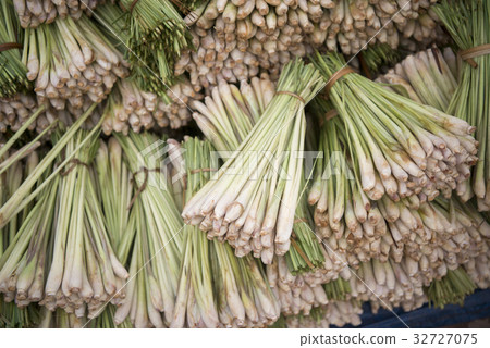 LAOS VIENTIANE TALAT SAO MARKET 32727075