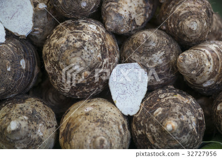 THAILAND CHIANG RAI MARKET FEGETABLE 32727956