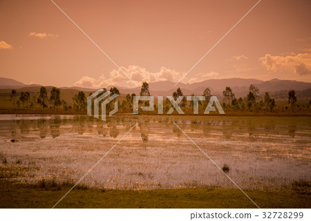 LAO PHONSAVAN LANDSCAPE AGRICULTURE 32728299