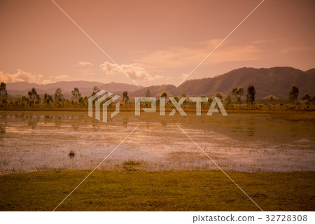 LAO PHONSAVAN LANDSCAPE AGRICULTURE 32728308