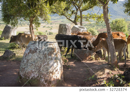 LAO PHONSAVAN PLAIN OF JARS 32728374