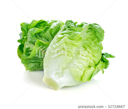 green lettuce isolated on white background green lettuce isolated on white background 32728667