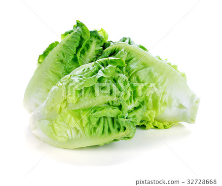 green lettuce isolated on white background 32728668