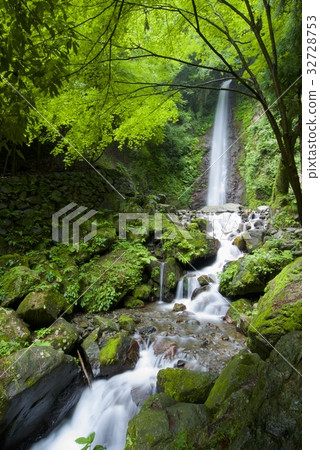 Yoro no Waterfall Yoro no Waterfall 32728753