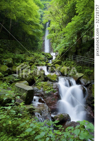 Yoro no Waterfall Yoro no Waterfall 32728757