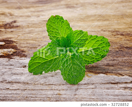 Fresh mint on wooden background 32728852