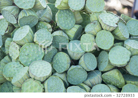 THAILAND ISAN UDON THANI LOTUS FOOD FEGETABLE THAILAND ISAN UDON THANI LOTUS FOOD FEGETABLE 32728933
