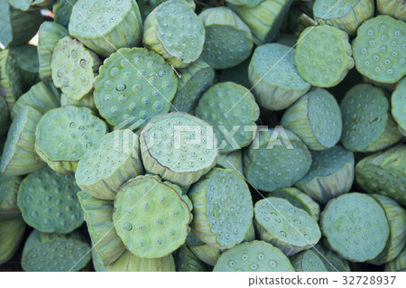 THAILAND ISAN UDON THANI LOTUS FOOD FEGETABLE 32728937