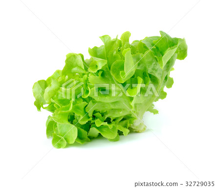 Green leaves lettuce isolated on white background Green leaves lettuce isolated on white background 32729035
